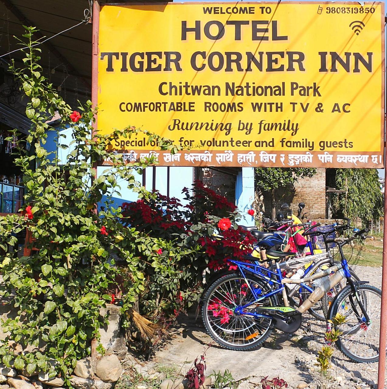 Tiger Corner Inn Sauraha Exterior foto